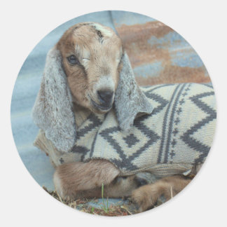 Baby Goat i Sweater Stickers Runt Klistermärke