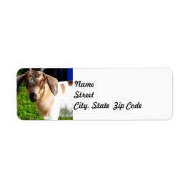 Baby Goat - Returadressetikett Returadress Etikett