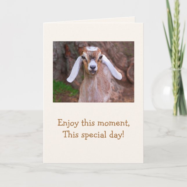 Baby Goat Wisdom Birthday Kort (Framsida)