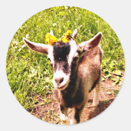 Baby Goat with Flowers - Lakan från Stickers Runt Klistermärke