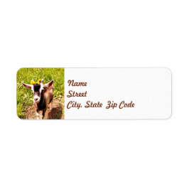 Baby Goat with Flowers - Returadressetikett Returadress Etikett