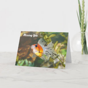 Baby Goldfish saknar hälsningskort Kort