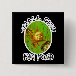 Baby Goldfish Square Badge Button Knapp