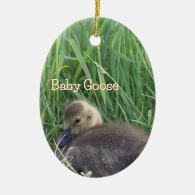 Baby Goose Ornament (Framsidan)