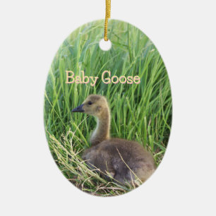 Baby Goose Ornament