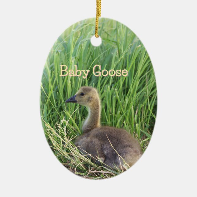 Baby Goose Ornament (Framsidan)