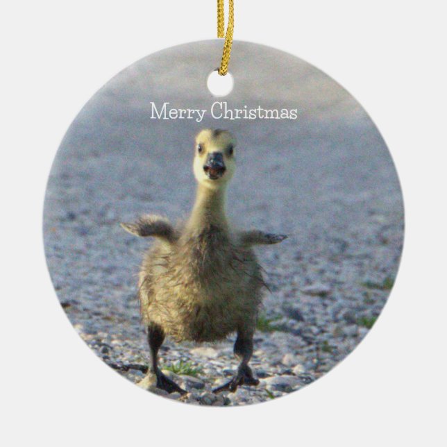 Baby Goose Ornament (Framsidan)