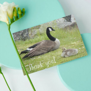 Baby Goose Photo Baby Shower Tack Kort