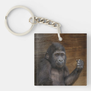 Baby Gorilla