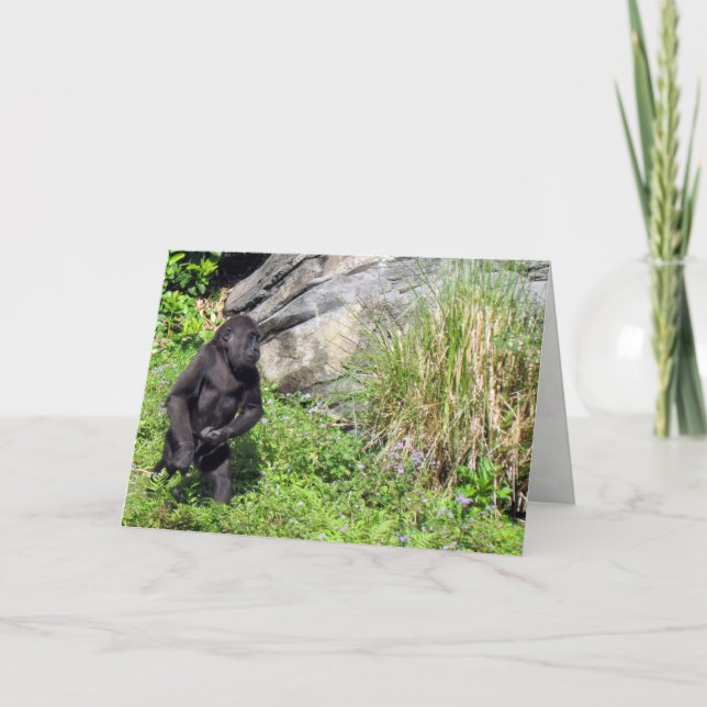 Baby Gorilla Birthday Card Kort (Framsida)