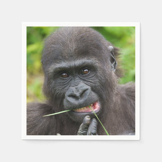 Baby Gorilla Cuteness Pappersservett (Framsidan)