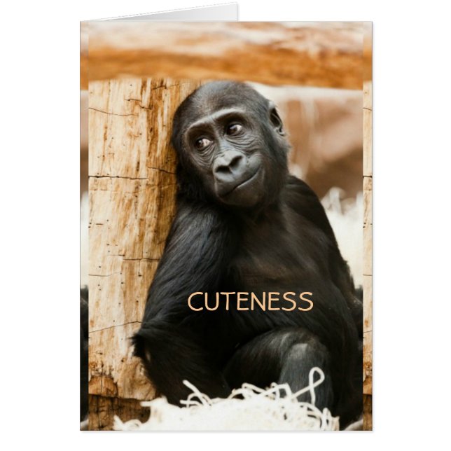 Baby gorilla hälsningskort (Framsidan)
