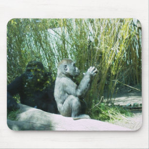 Baby Gorilla Musmatta