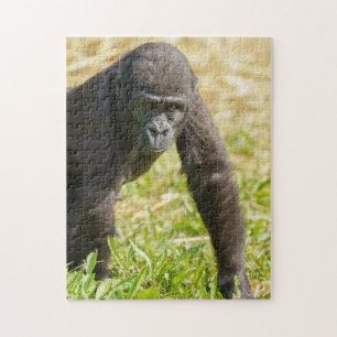 Baby Gorilla Pussel