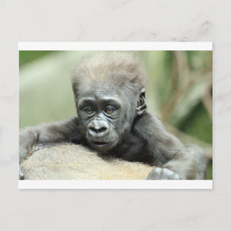 BABY GORILLA RELAXING VYKORT