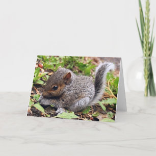 Baby Grått Kort