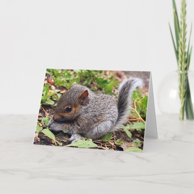 Baby Grått Kort (Framsida)