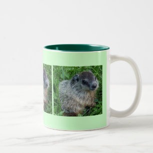 Baby Groundhog 11 Oz. Mugg