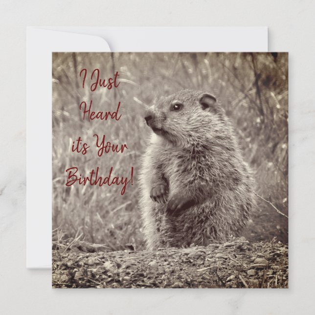 Baby Groundhog in BLACK AND WHITE Birthday (Framsida)