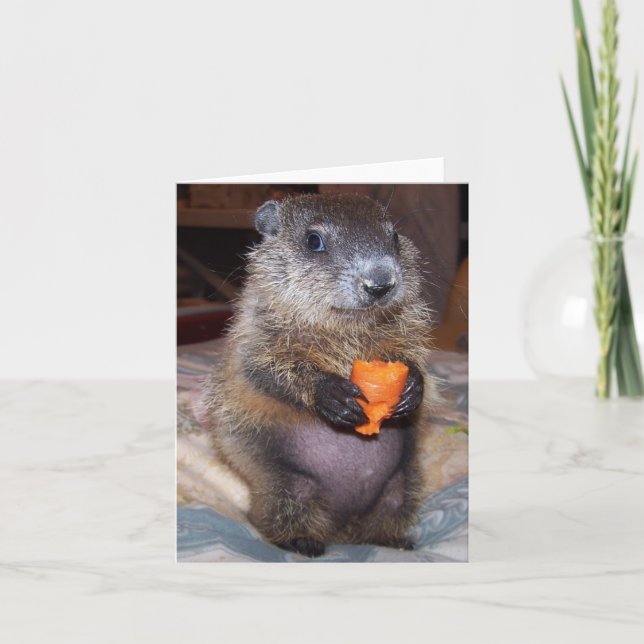 Baby Groundhog Maude Note Card Kort (Framsida)