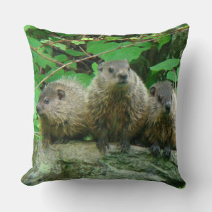 Baby Groundhogs - Woodchucks - Grundsuggor Kudde