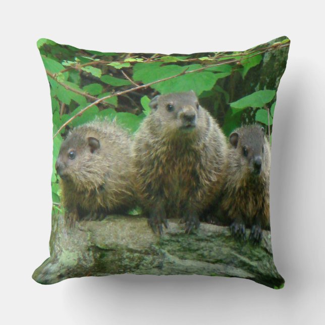 Baby Groundhogs - Woodchucks - Grundsuggor Kudde (Framsida)