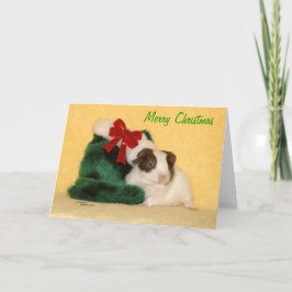 Baby Guineas Gris God jul-kort Helgkort