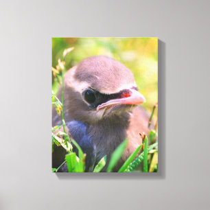 Baby Gult Cedar Waxwing Fledgling Bird Canvastryck