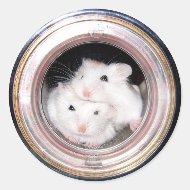 Baby hamster: Piled upp! Runt Klistermärke (Framsida)