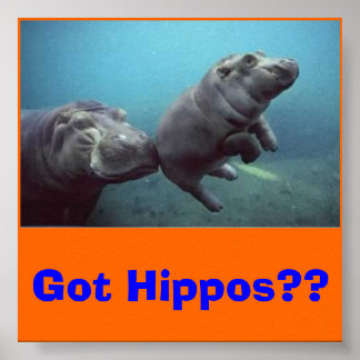 baby, Har Hippos? Poster