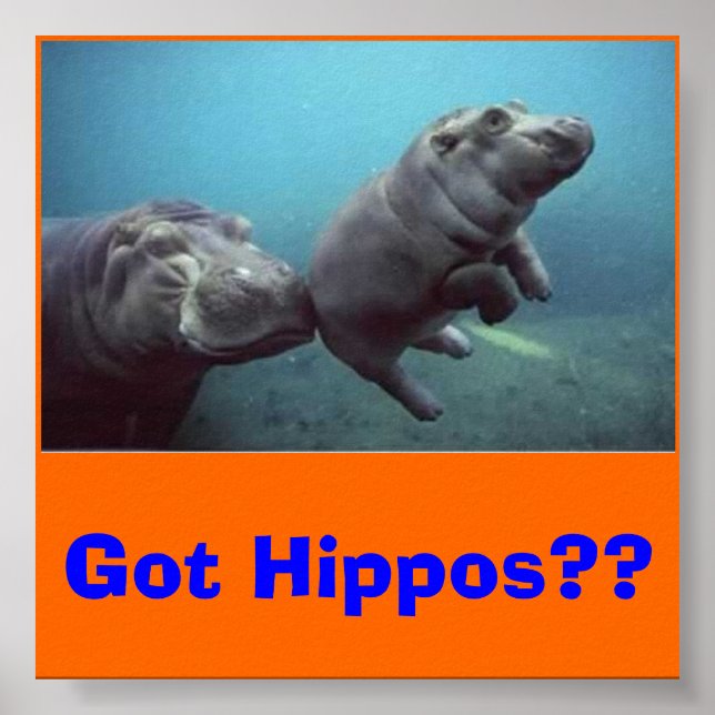 baby, Har Hippos? Poster (Framsidan)