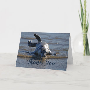 Baby Harbour Seal Photo - tackkort