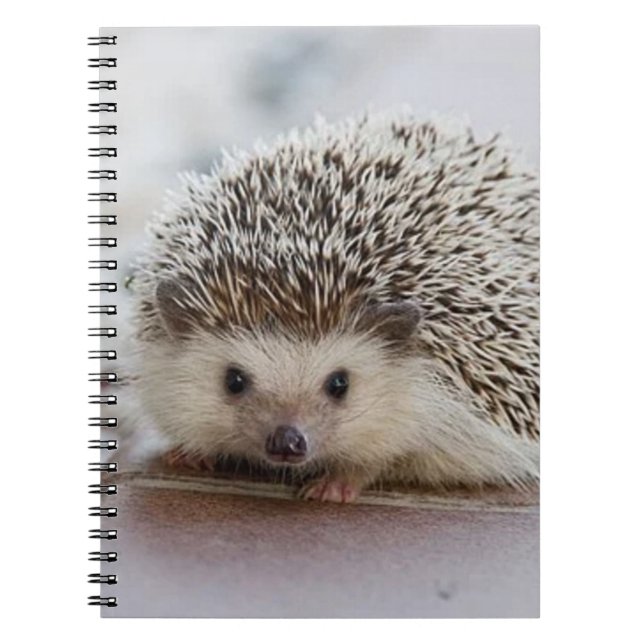 Baby hedgehog anteckningsbok (Framsidan)