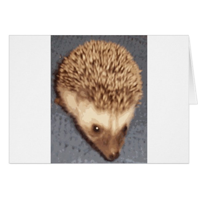 baby hedgehog hälsningskort (Framsidan Horizontal)
