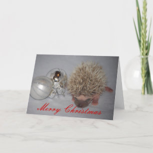 Baby Hedgehog-julkort Helgkort