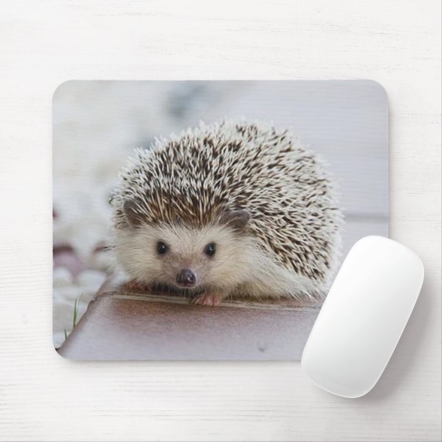 Baby hedgehog musmatta (Med mus)