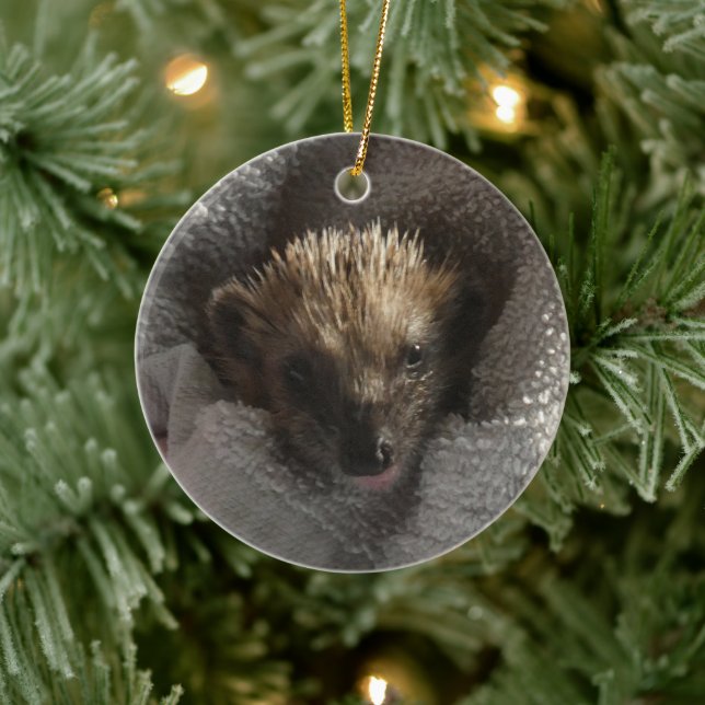Baby Hedgehog på Blanket Ornament (Träd)