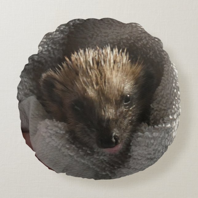 Baby Hedgehog på Blanket Round Pillow Rund Kudde (Framsidan)