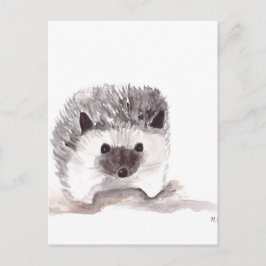 baby hedgehog vykort