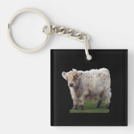 Baby Highland ’Moo’ Cow