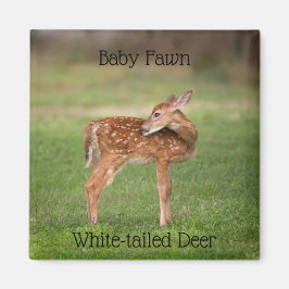 Baby Hjort Fawn med vita fläckar Magnet