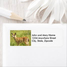 Baby Hjort Fawn Nature Photo Returadress Etikett