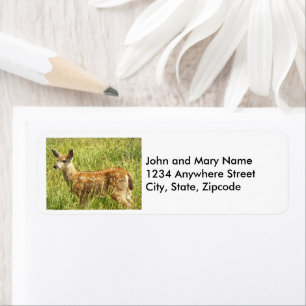 Baby Hjort Fawn Nature Photo Returadress Etikett