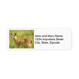 Baby Hjort Fawn Nature Photo Returadress Returadress Etikett