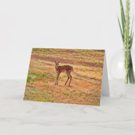 Baby Hjort Fawn Vild Animal Art Note Card Kort