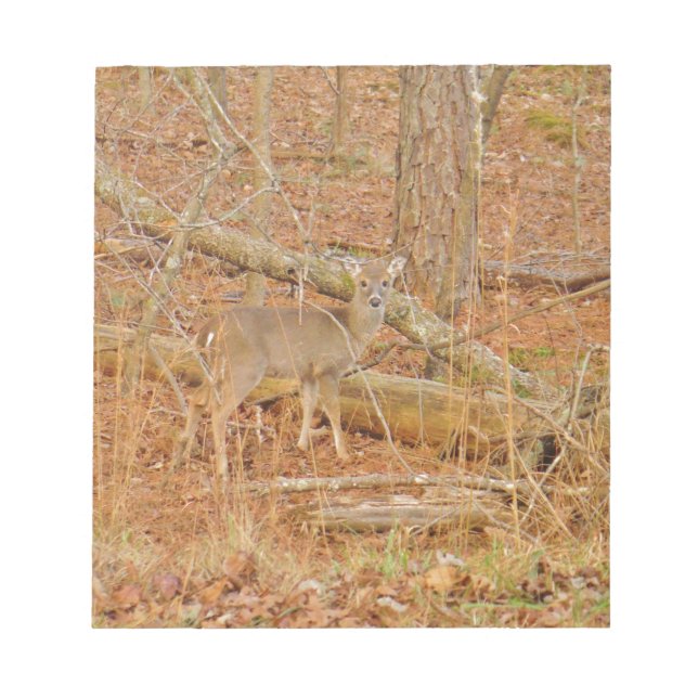 Baby Hjort Första vintern Anteckningsblock (Framsida)