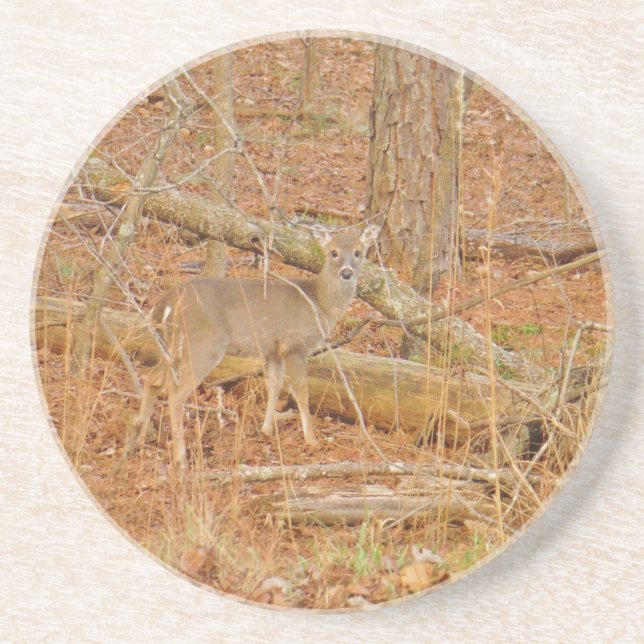 Baby Hjort Första vintern Underlägg Sandsten (Framsidan)