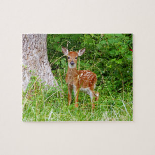 Baby Hjort i naturfotografiet Skogen Pussel
