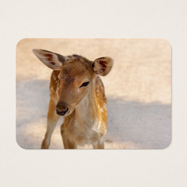 Baby Hjort Visitkort (Framsidan)
