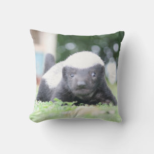 Baby honey badger kudde